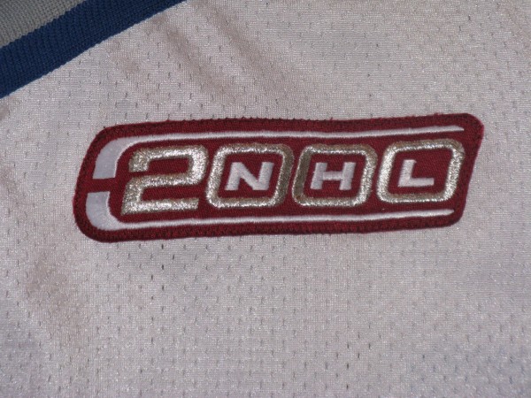 Dingman-white-Pro-Player-Gamer-NHL-2000-