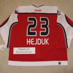 Milan Hejduk 2001 All Star back