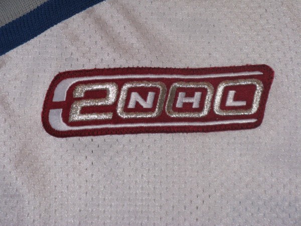 Dingman white Pro Player Gamer NHL 2000 patch
