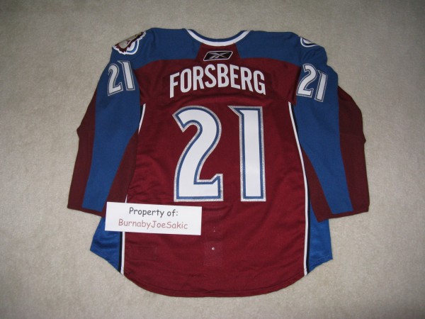 Peter Forsberg 2010-2011 Burgundy Set II GI back